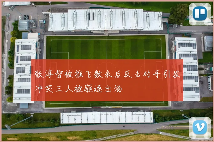 张淳智被推飞数米后反击对手引发冲突三人被驱逐出场