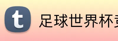 足球世界杯竞猜网站 Logo